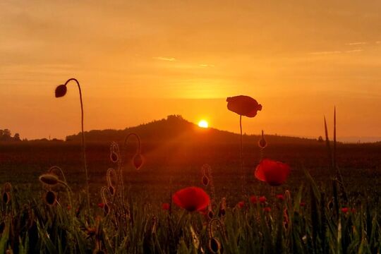 WhatsApp Image 2026-05-27 at 09.43.12 (3)